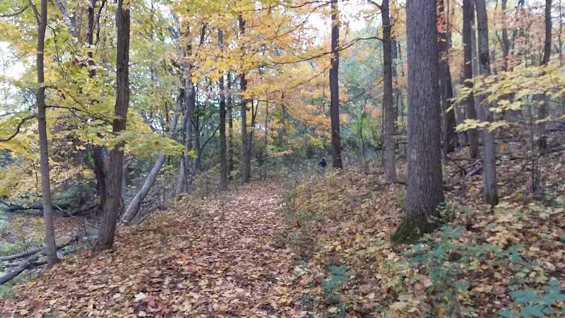 Shiawassee County Park Shiatown - Durand, MI