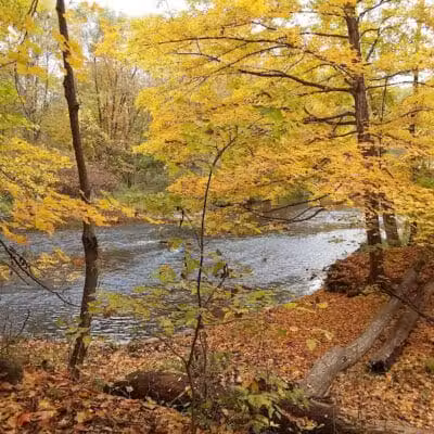 Shiawassee County Park Shiatown - Durand, MI