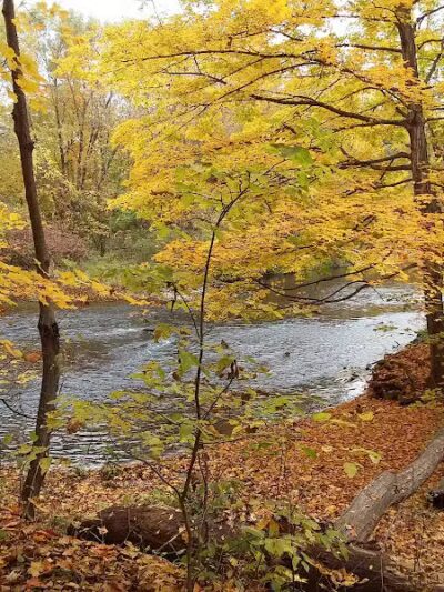 Shiawassee County Park Shiatown - Durand, MI