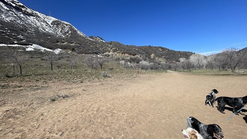 Durango Off Leash Dog Park - Durango, CO