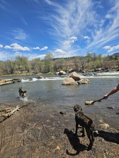 Durango Off Leash Dog Park - Durango, CO