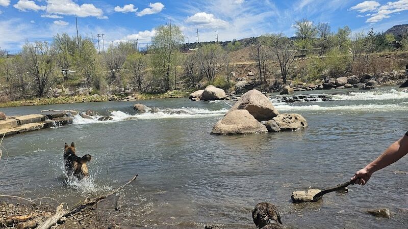 Durango Off Leash Dog Park - Durango, CO