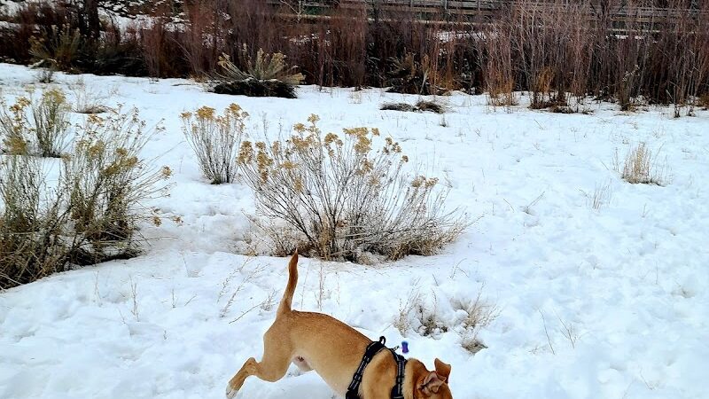 Durango Off Leash Dog Park - Durango, CO
