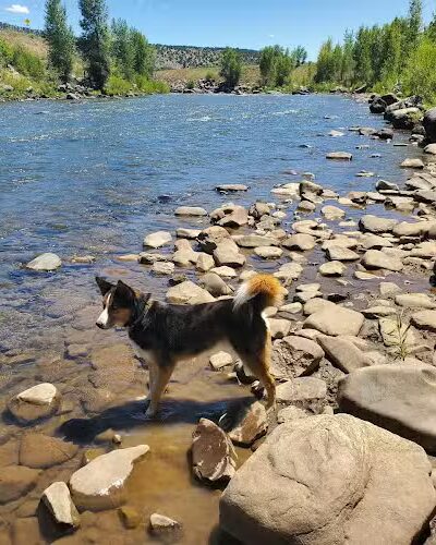 Durango Off Leash Dog Park - Durango, CO