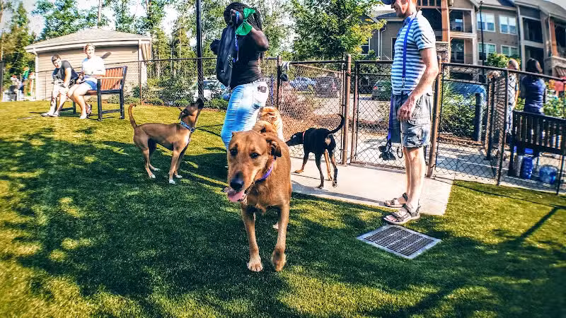 Artisan at Brightleaf Dog Park (Private) - Durham, NC