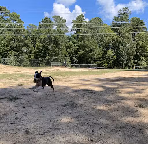 Piney Wood Dog Park - Durham, NC
