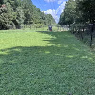 Piney Wood Dog Park - Durham, NC