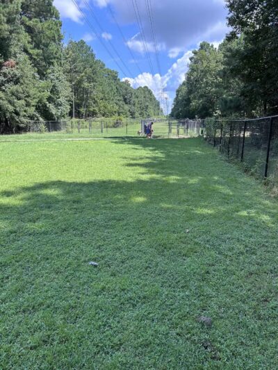 Piney Wood Dog Park - Durham, NC