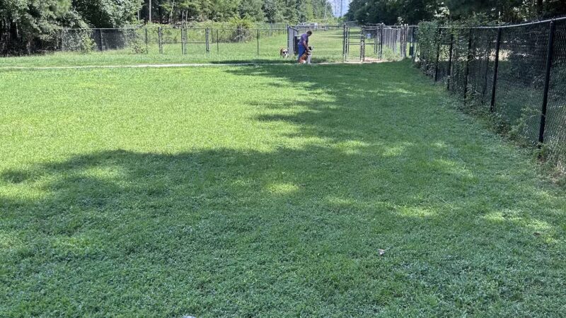 Piney Wood Dog Park - Durham, NC