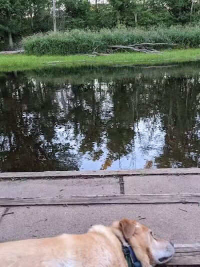 Heritage Park Of Watertown Township - Eagle,