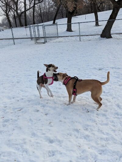 Eagle Lake Dog Park - Eagle Lake, MN