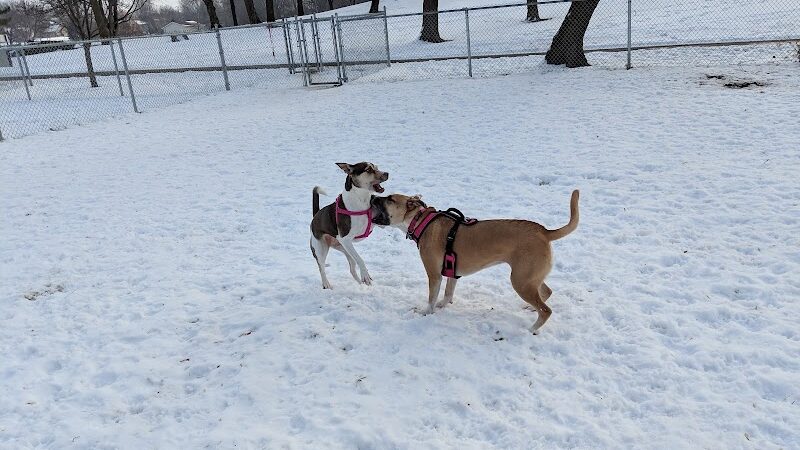 Eagle Lake Dog Park - Eagle Lake, MN