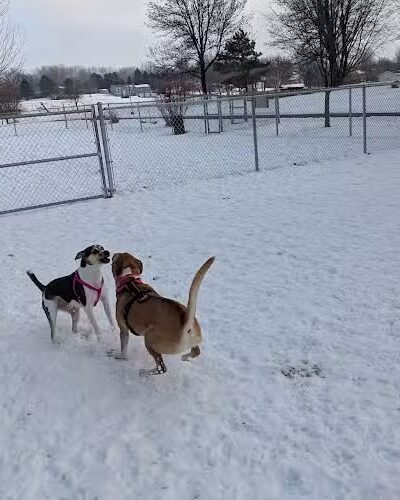 Eagle Lake Dog Park - Eagle Lake, MN