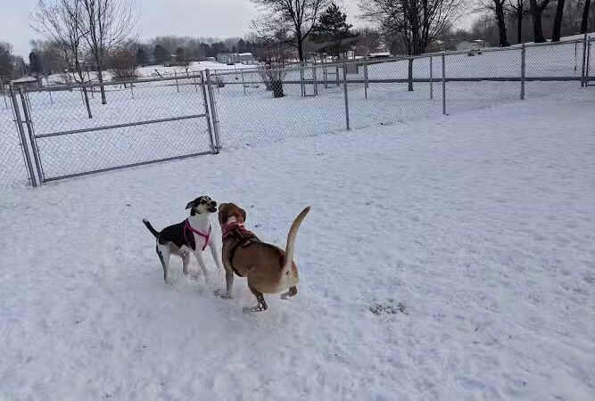 Eagle Lake Dog Park - Eagle Lake, MN