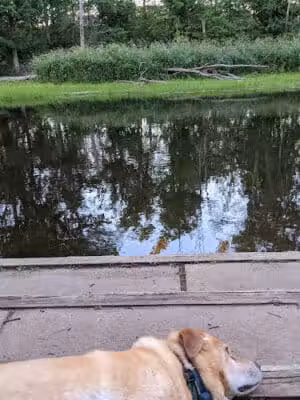 Heritage Park Of Watertown Township - Eagle,