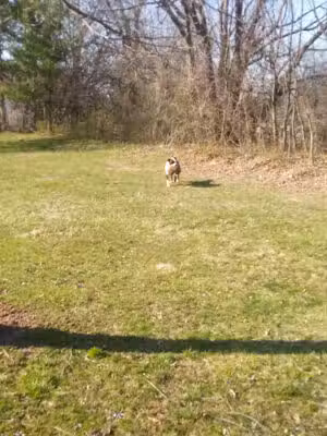 Eskie Park - Eagleville, PA