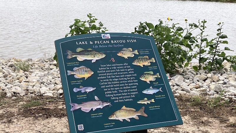 Early Town Center Walking Trails - Early, TX