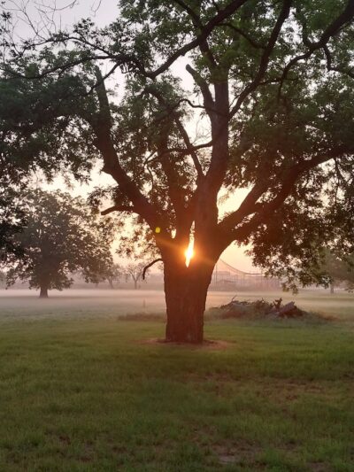 Early Town Center Walking Trails - Early, TX