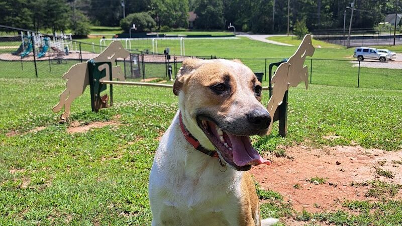 Hagood Park Dog Park - Easley, SC
