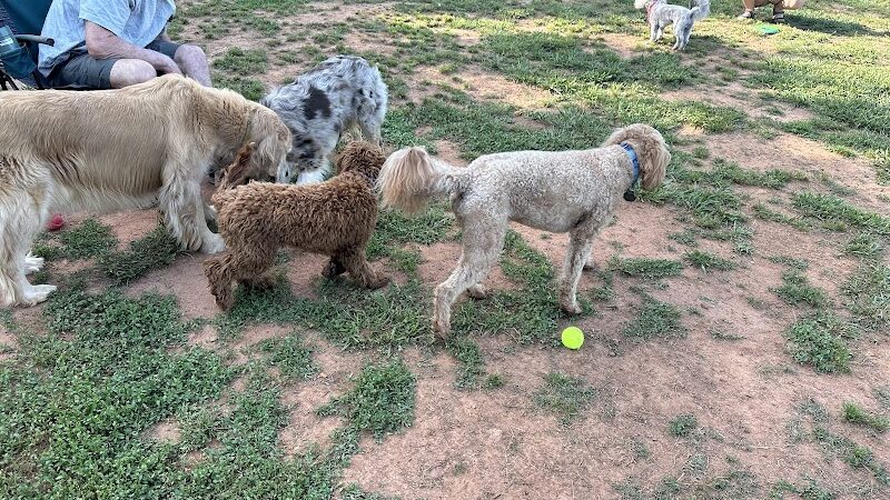 Hagood Park Dog Park - Easley, SC