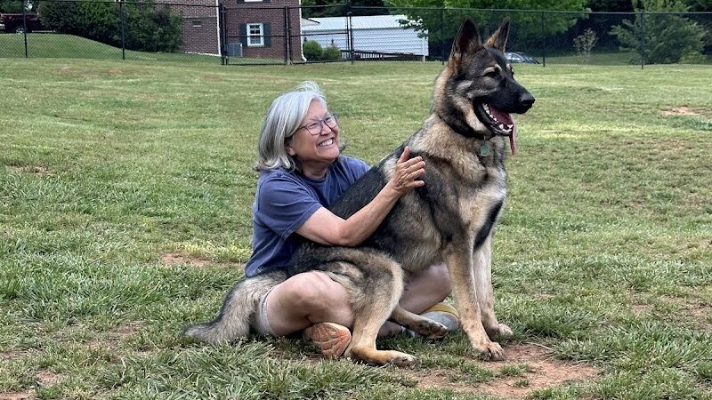 Hagood Park Dog Park - Easley, SC