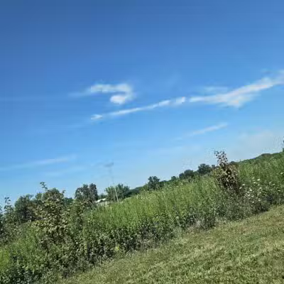 Heavenly Farms Park - East Brunswick, NJ