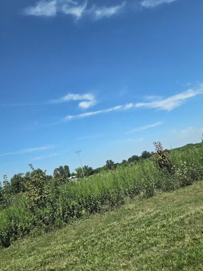 Heavenly Farms Park - East Brunswick, NJ