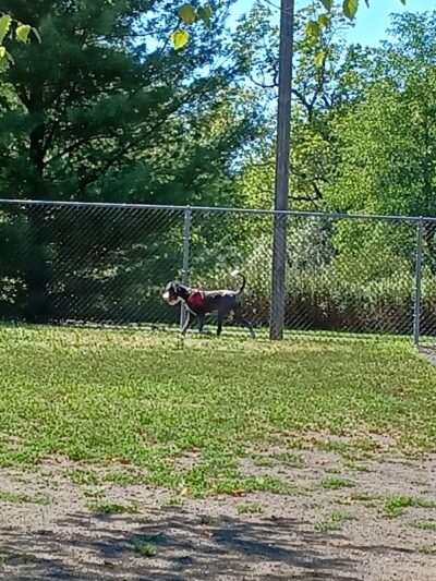 Heavenly Farms Park - East Brunswick, NJ