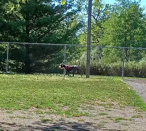 Heavenly Farms Park - East Brunswick, NJ