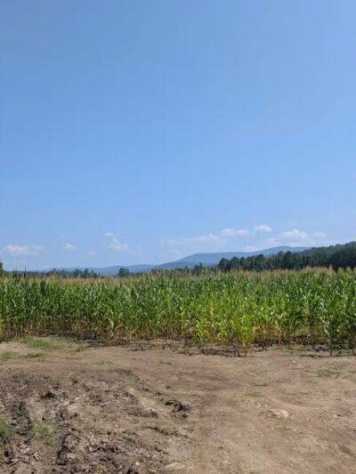 Kingdom Trails - East Burke, VT