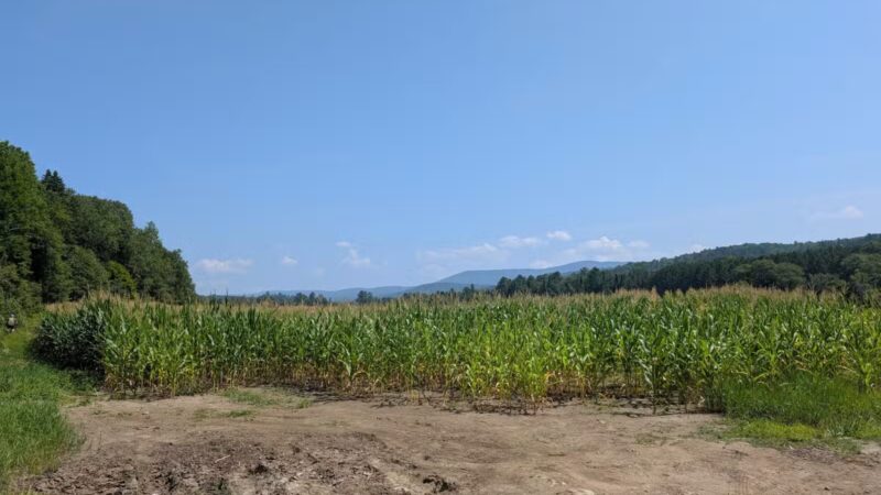 Kingdom Trails - East Burke, VT