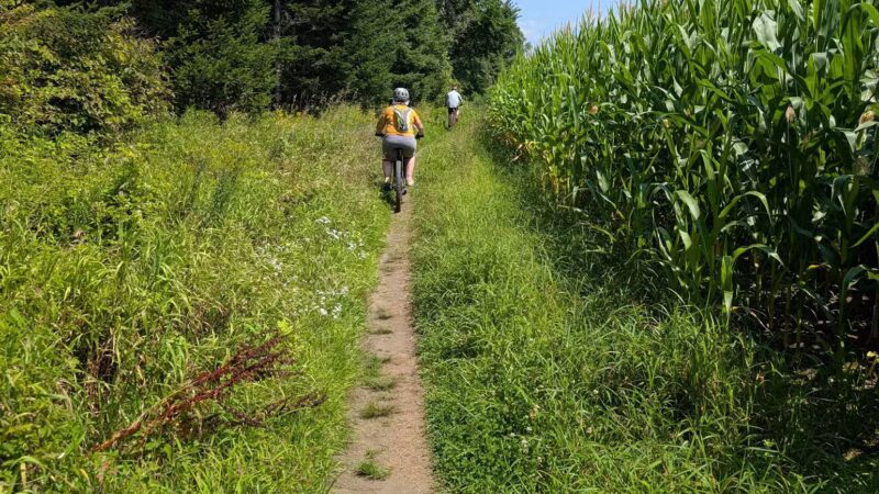 Kingdom Trails - East Burke, VT