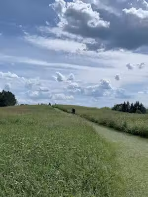 Kingdom Trails - East Burke, VT