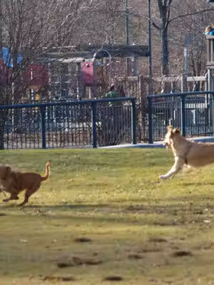 North Point Park - East Cambridge, MA