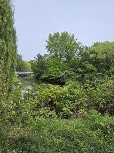 North Point Park - East Cambridge, MA