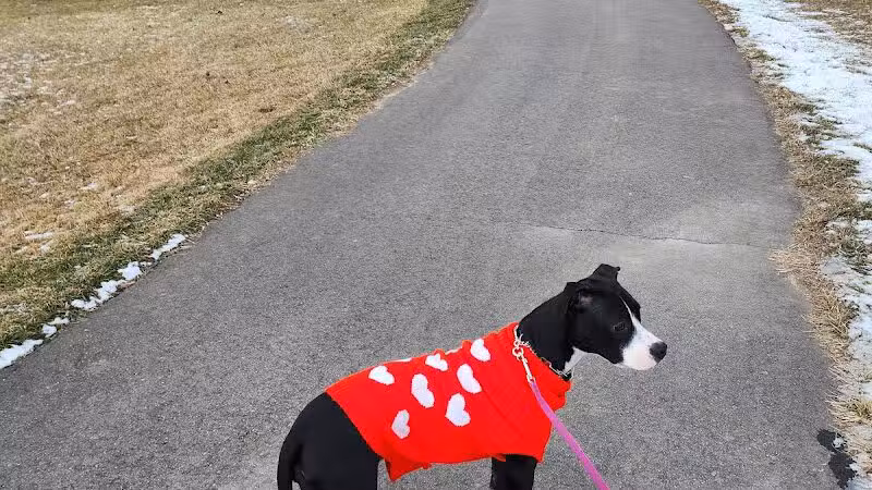 East China Dog Park - East China Township, MI