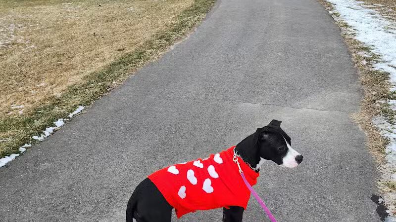 East China Dog Park - East China Township, MI