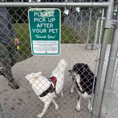 East China Dog Park - East China Township, MI