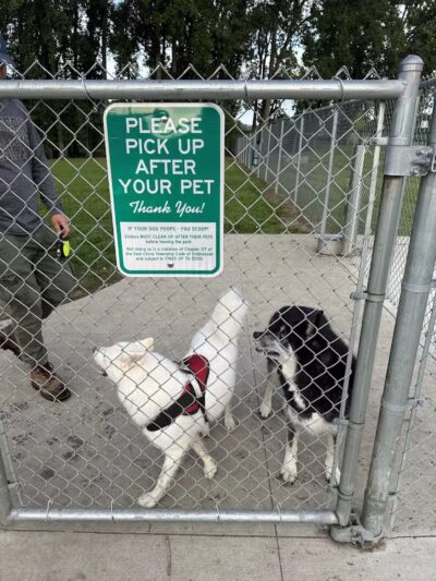 East China Dog Park - East China Township, MI