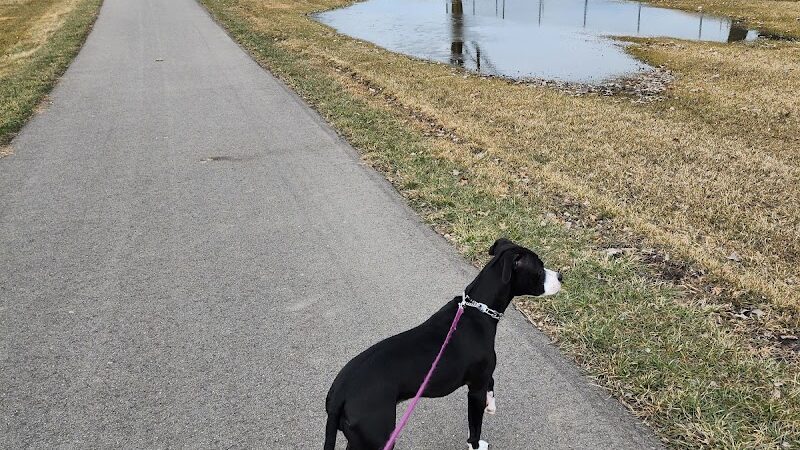 East China Dog Park - East China Township, MI