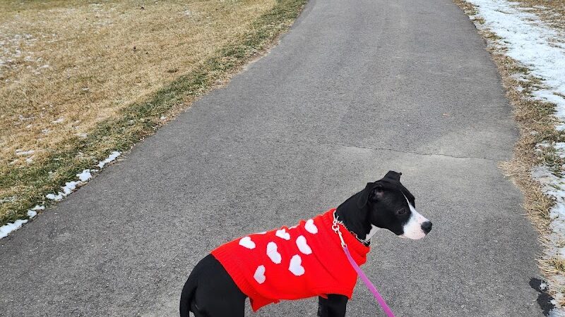 East China Dog Park - East China Township, MI