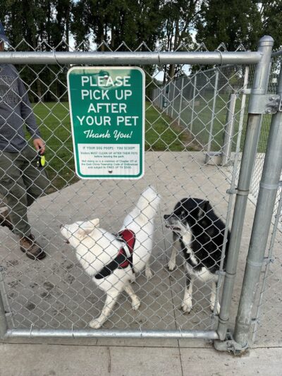 East China Dog Park - East China Township, MI