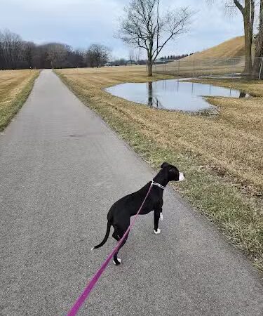 East China Dog Park - East China Township, MI