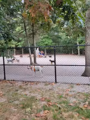 Town of Falmouth Dog Park - East Falmouth,