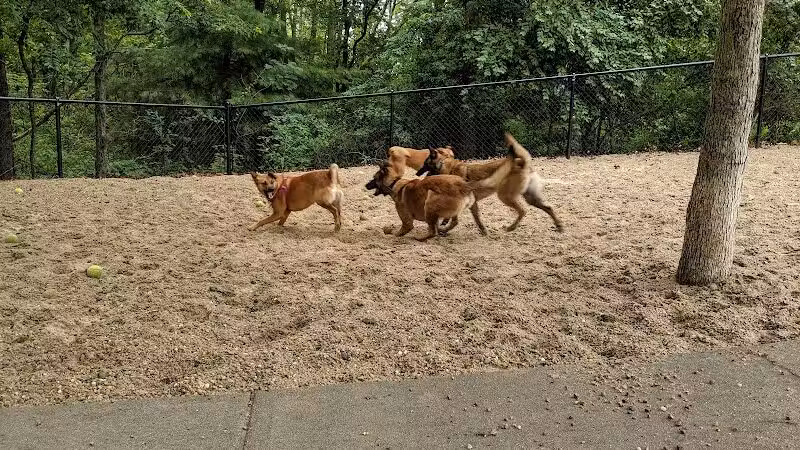 Town of Falmouth Dog Park - East Falmouth,