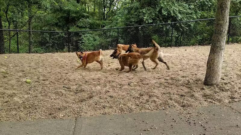 Town of Falmouth Dog Park - East Falmouth,