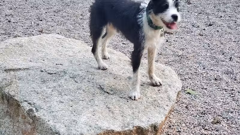 Town of Falmouth Dog Park - East Falmouth,