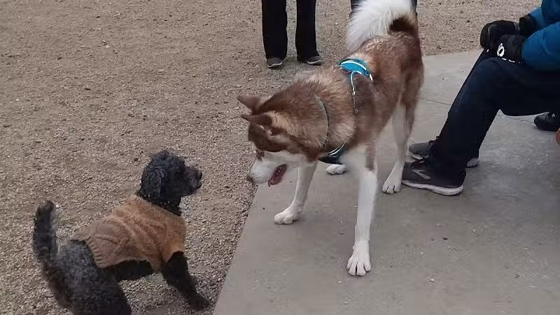 Town of Falmouth Dog Park - East Falmouth,