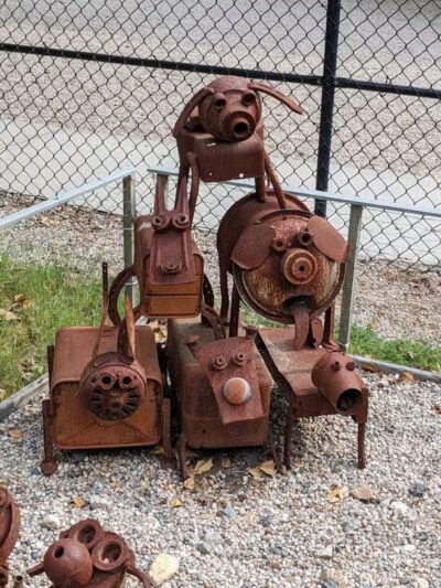 Town of Falmouth Dog Park - East Falmouth,