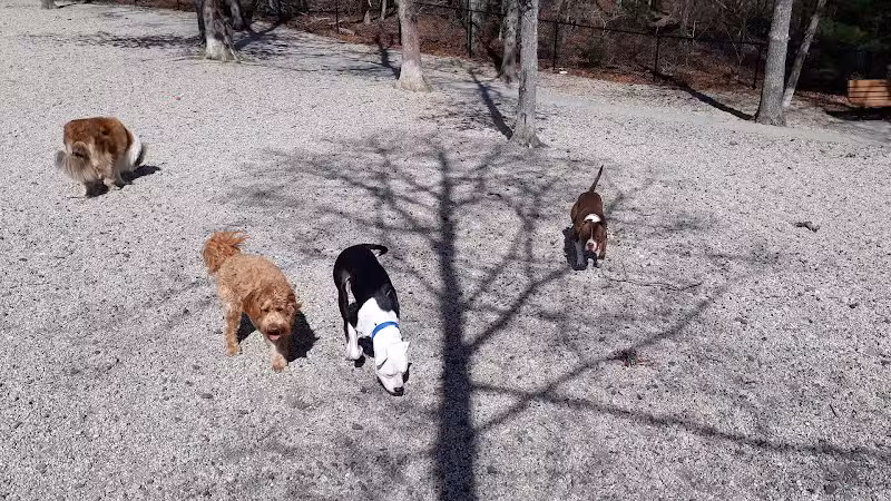 Town of Falmouth Dog Park - East Falmouth,